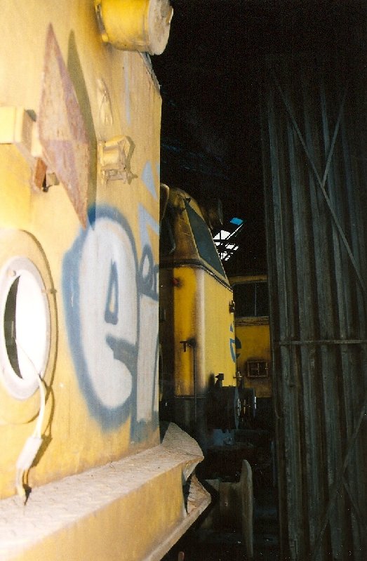333.jpg