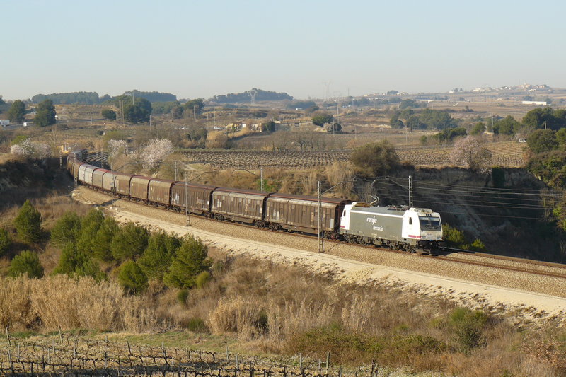 P1090127.JPG