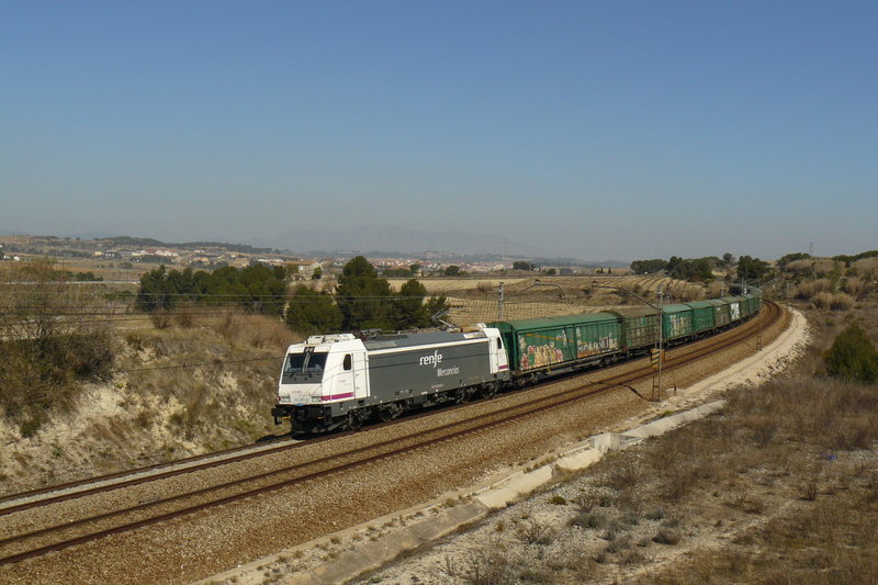 P1090153.JPG