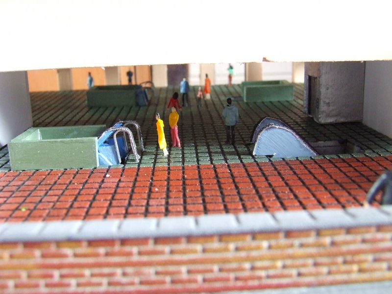 DSCF1621.JPG