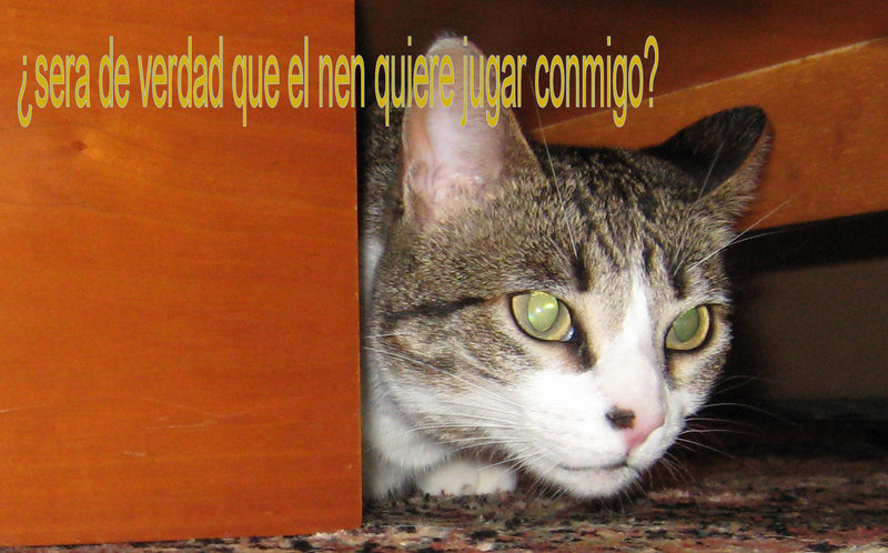 poto.jpg