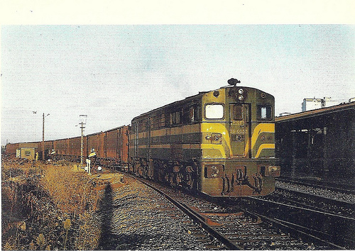 l1600.JPG
