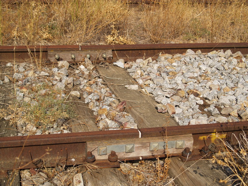 P9186585.JPG