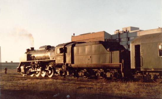 mikado1a.jpg
