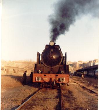 mikado4a.jpg