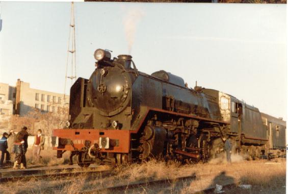 mikado5a.jpg