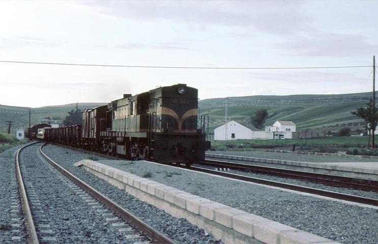 5106.jpg