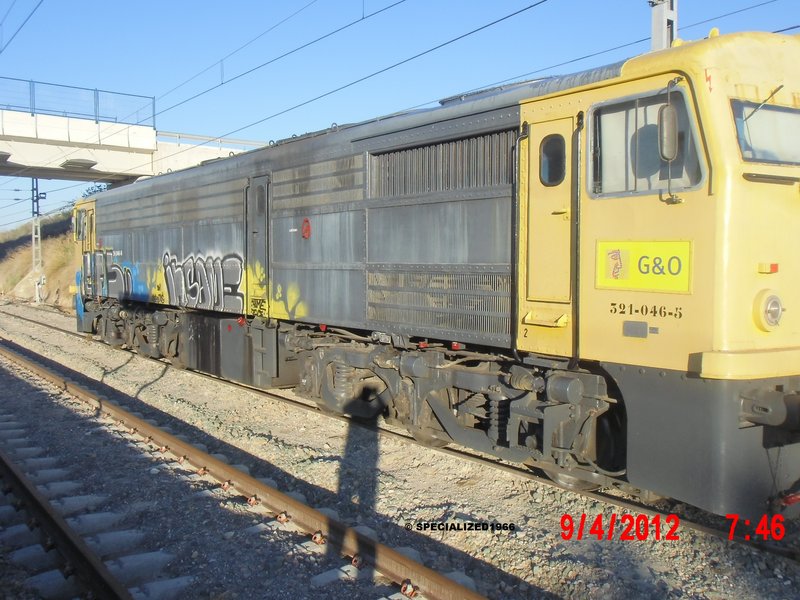 CIMG8652.JPG