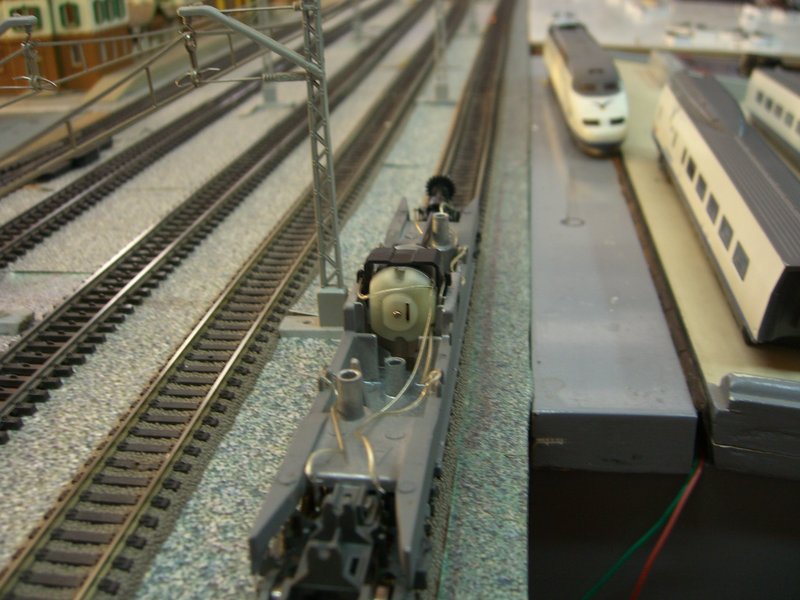 CIMG0800.JPG