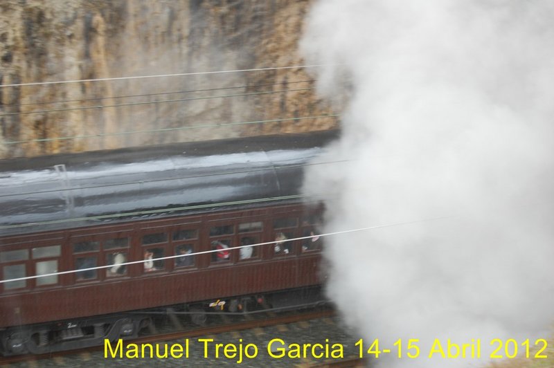 DSC_0902 (Copiar).JPG