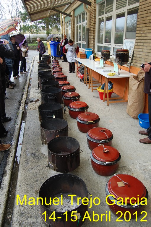 DSC_0764 (Copiar).JPG