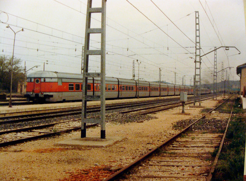 DSC09760.jpg