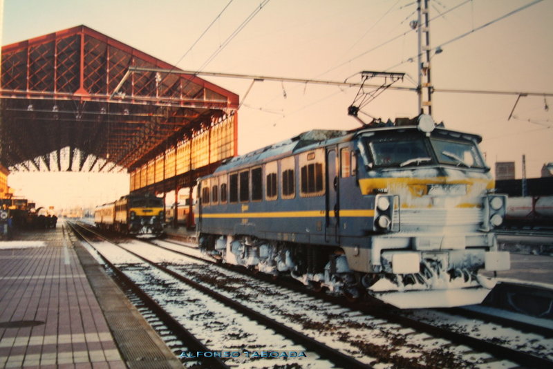REGFA211.jpg