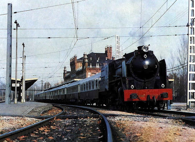 Mikado 2413.JPG