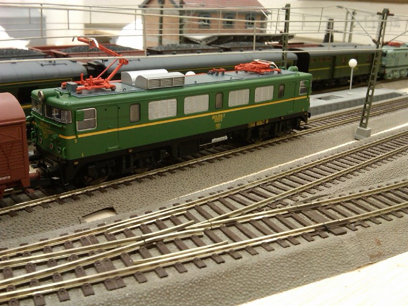 IMG00215-20090615-0007.jpg
