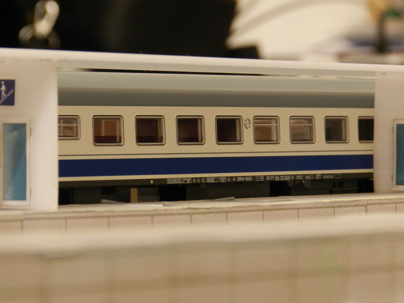 DSCN0954.JPG
