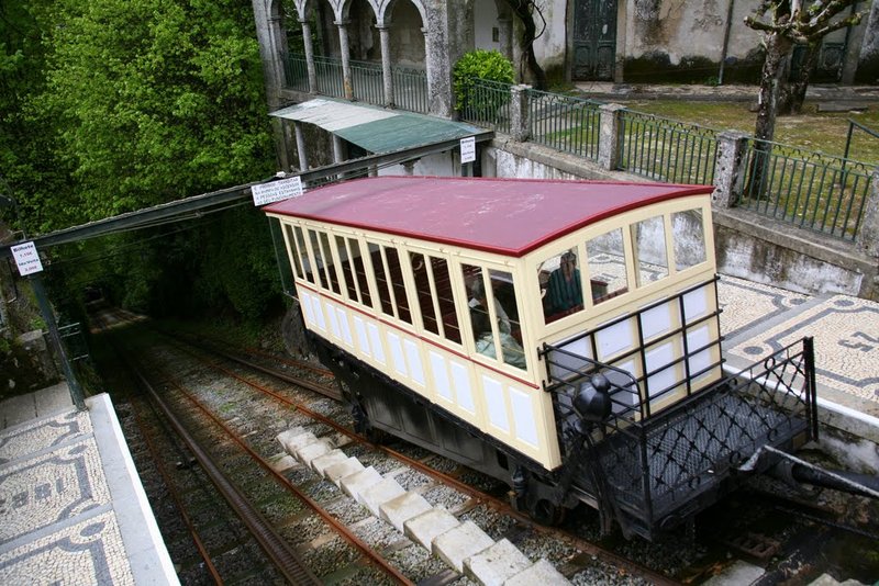 5296.jpg
