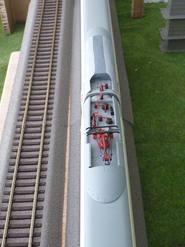P1060869.JPG