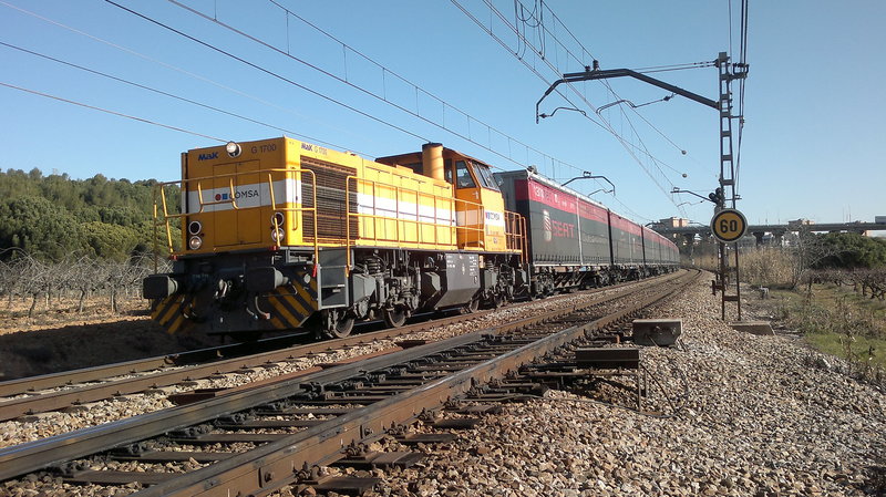 715.jpg