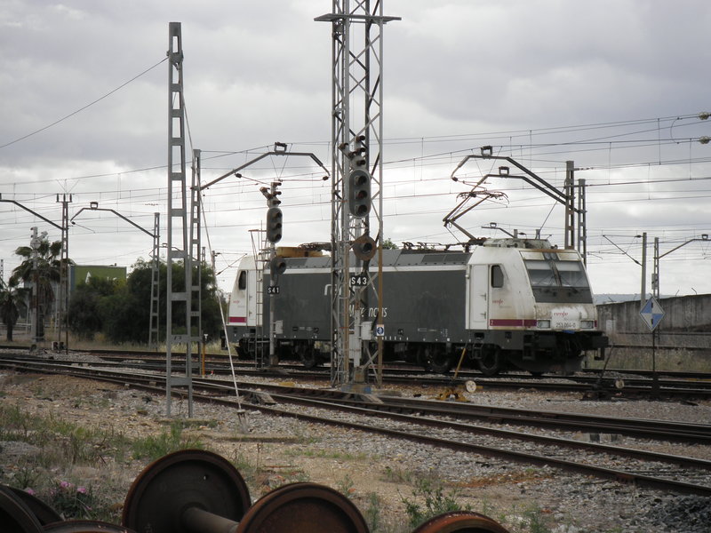 P4272873.JPG