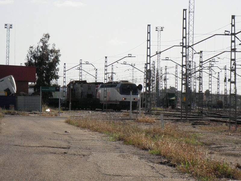 P4112820.JPG