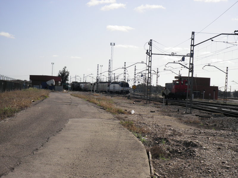 P4112821.JPG