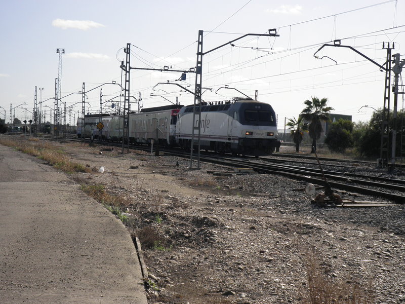 P4112823.JPG