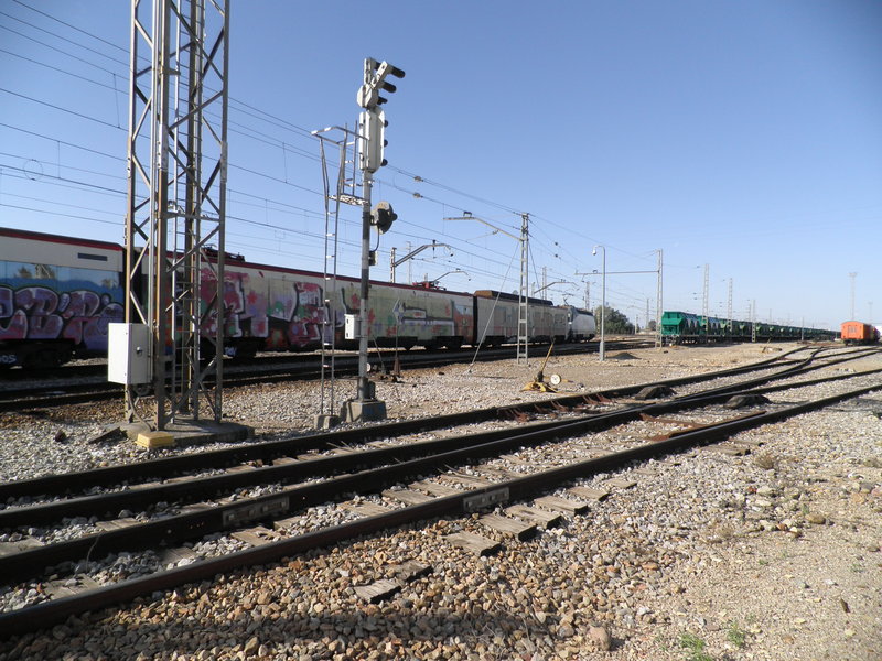 P4112826.JPG