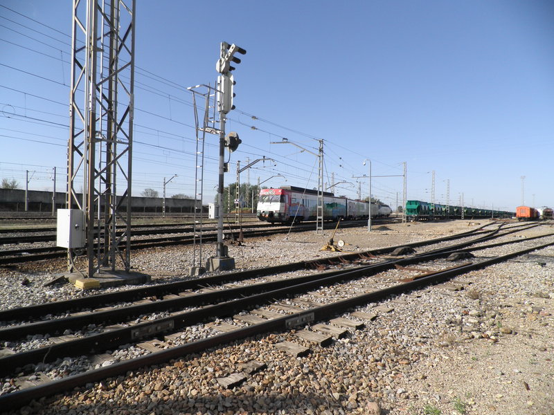 P4112827.JPG