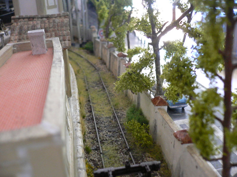 P1080844.JPG