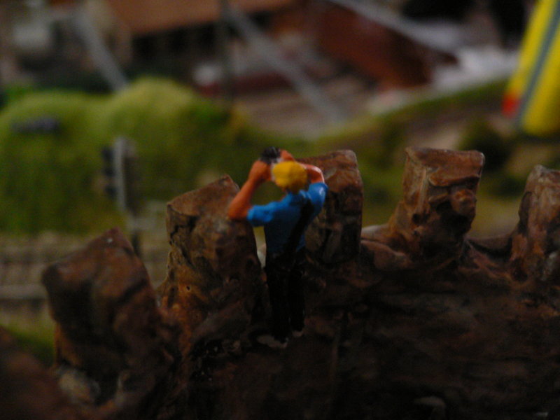 P1080893.JPG