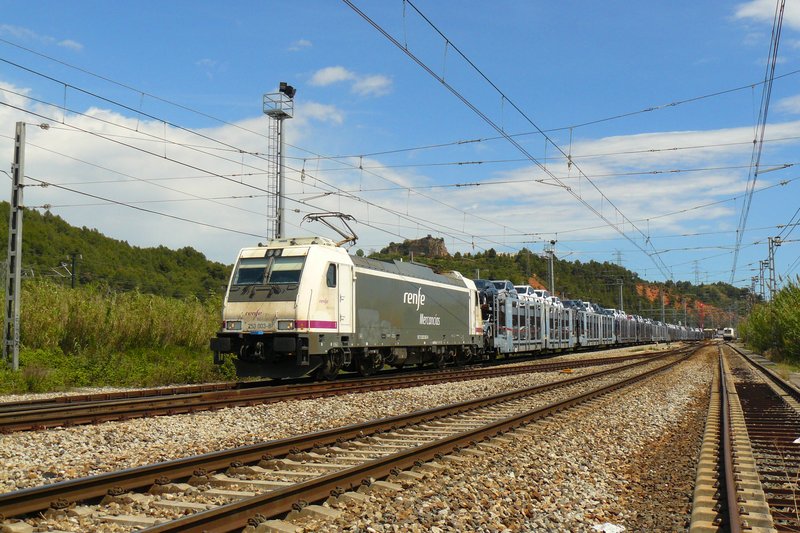 P1100033.JPG