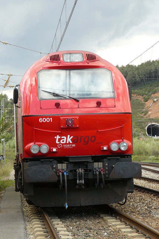 P1100020.JPG
