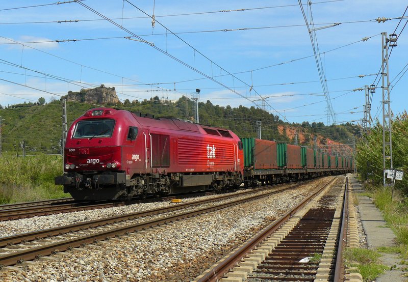 P1100043.JPG
