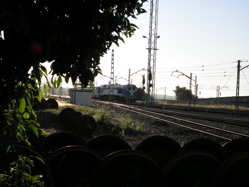P5092918.JPG