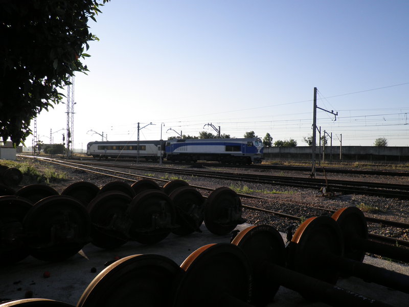 P5092919.JPG