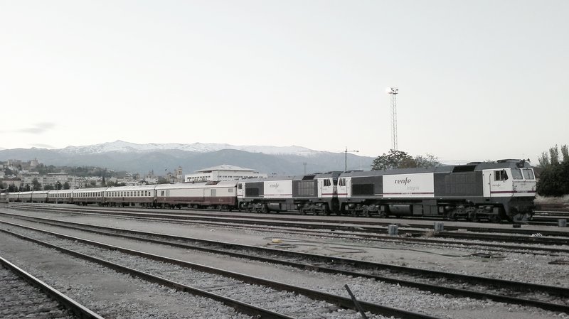 10031.jpg
