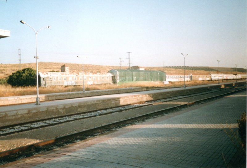 img083.jpg