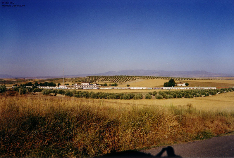 5174.JPG