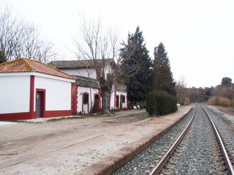 5169.JPG