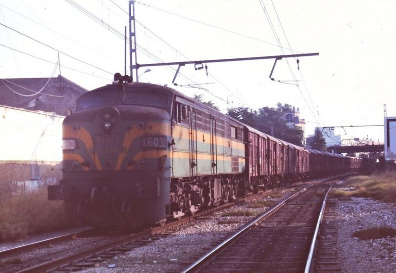 5181.jpg