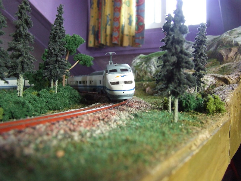 DSCF1848.JPG