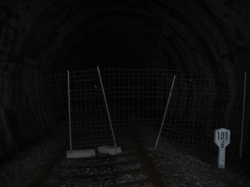 DSCN0732.JPG