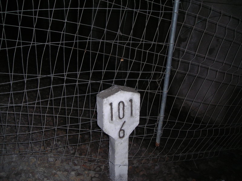 DSCN0733.JPG