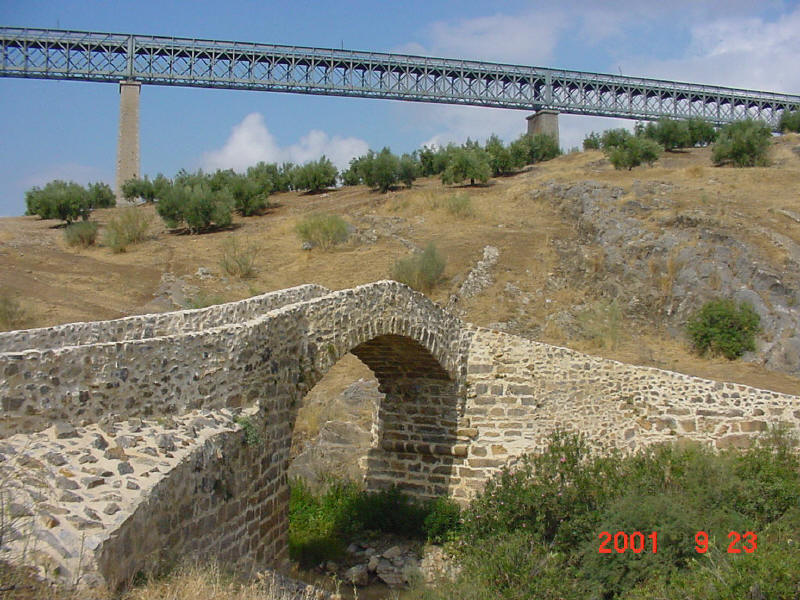 5210.jpg