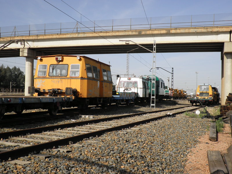 P5162963.JPG