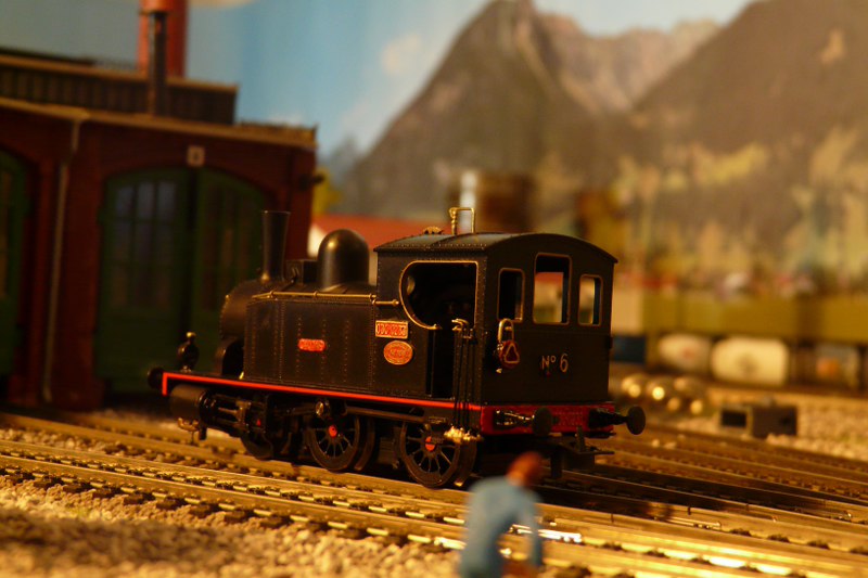 P1070183_800x533.JPG
