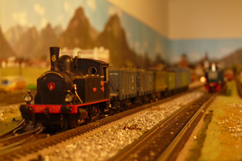 P1070191_800x533.JPG