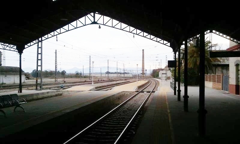 5206.jpg