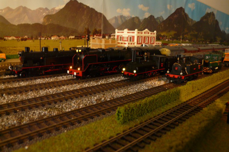 P1070161_800x533.JPG